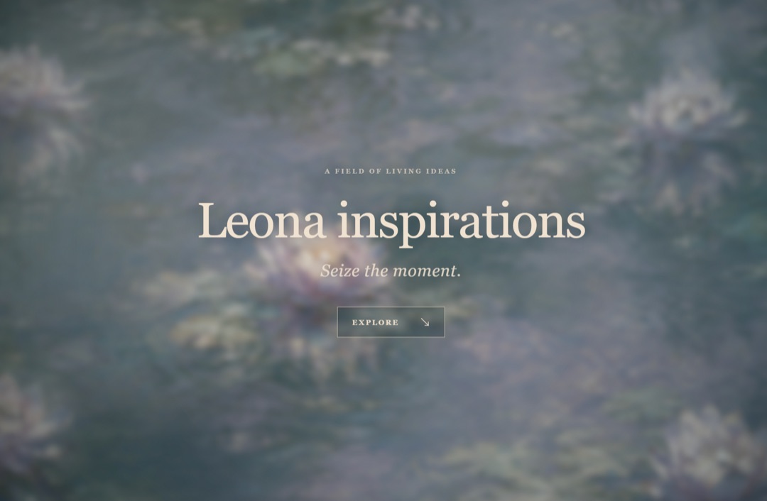 Leona 的网站截图2